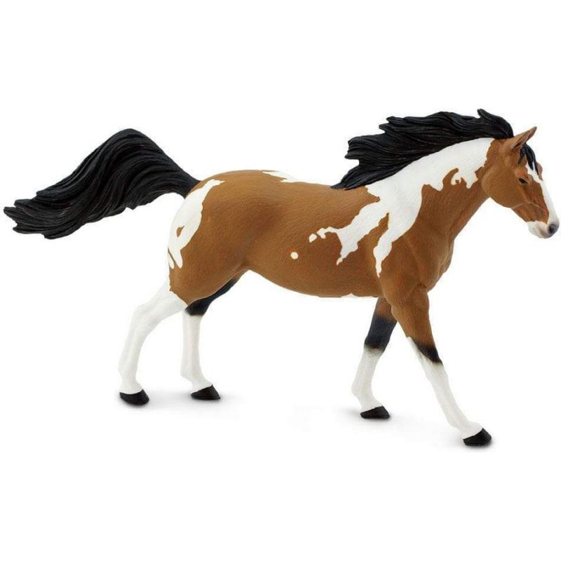 Μινιατούρες Safari - Pinto Mustang Stallion - Επιβήτορας Πίντο Μάστανγκ