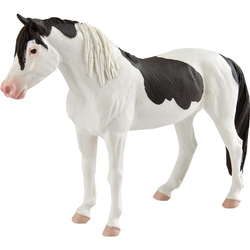 Μινιατούρες Safari - Abaco Barb Mare - Φοράδα Αμπακο Μπαρμπ