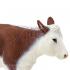 Μινιατούρες Safari - Hereford Cow - Αγελάδα Χέρεφορντ