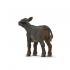 Μινιατούρες Safari - Angus Calf - Μοσχάρι Άνγκους