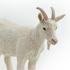 Μινιατούρες Safari - Nanny Goat - Γίδα