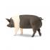 Μινιατούρες Safari - Hampshire Pig - Γουρούνι Χαμσάιρ