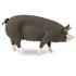 Μινιατούρες Safari - Berkshire Pig - Γουρούνι Μπερκσάιρ