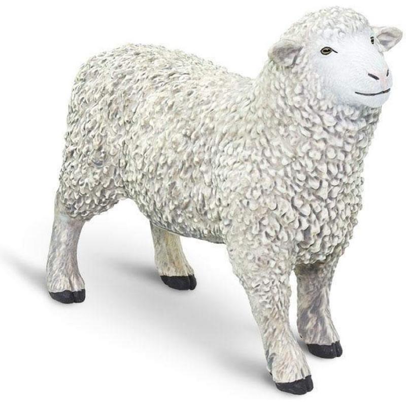 Μινιατούρες Safari - Sheep - Πρόβατο