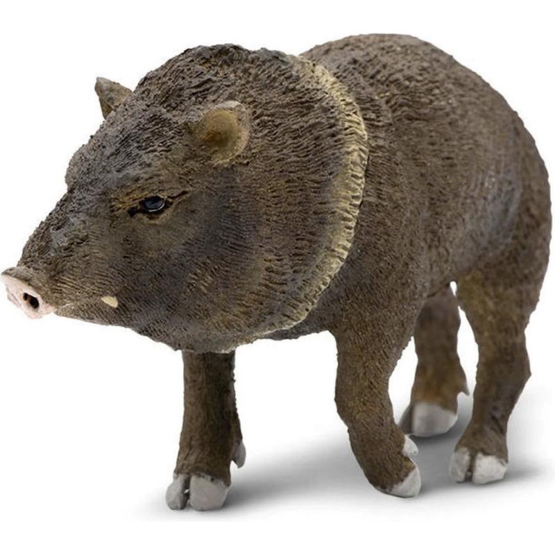 Μινιατούρες Safari - Peccary - Χοίρος Νότιας Αμερικής