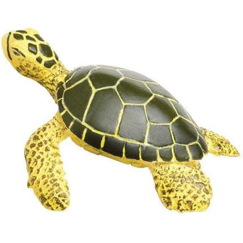 Μινιατούρες Safari - Green Sea Turtle Baby - Πράσινη Θαλασσοχελώνα Μωρό