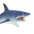 Μινιατούρες Safari - Mako Shark - Ρυγχοκαρχαρίας