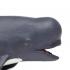 Μινιατούρες Safari - Pilot Whale - Γλοβικέφαλος
