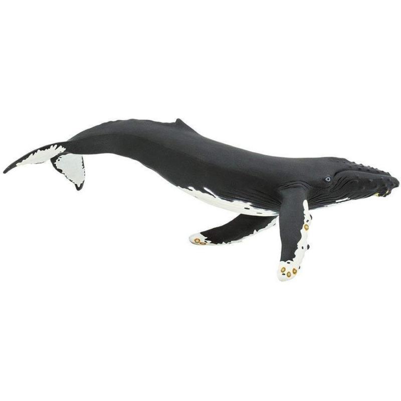 Μινιατούρες Safari - Humpback Whale - Μεγάπτερη Φάλαινα