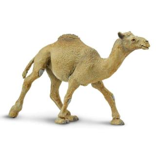 Μινιατούρες Safari - Dromedary Camel - Αραβική Καμήλα