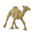 Μινιατούρες Safari - Dromedary Camel - Αραβική Καμήλα