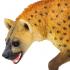 Μινιατούρες Safari - Hyena - Ύαινα