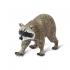 Μινιατούρες Safari - Raccoon - Ρακούν
