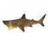 Μινιατούρες Safari - Basking Shark - Καρχαρίας Προσκυνητής