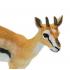Μινιατούρες Safari - Thomson's Gazelle - Γαζέλα του Τόμσον