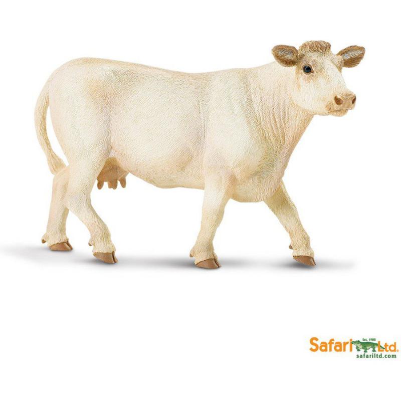 Μινιατούρες Safari - Charolais Cow - Αγελάδα Σαρολέ