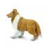 Μινιατούρες Safari - Collie - Σκύλος Κόλεϊ