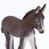 Μινιατούρες Safari - Donkey Foal - Γαϊδουράκι