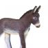 Μινιατούρες Safari - Donkey Foal - Γαϊδουράκι