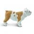 Μινιατούρες Safari - Bulldog - Σκύλος Μπουλντόγκ