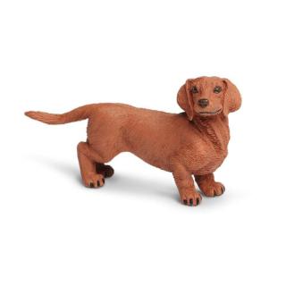 Μινιατούρες Safari - Dachshund - Σκύλος Ντάκσχουντ