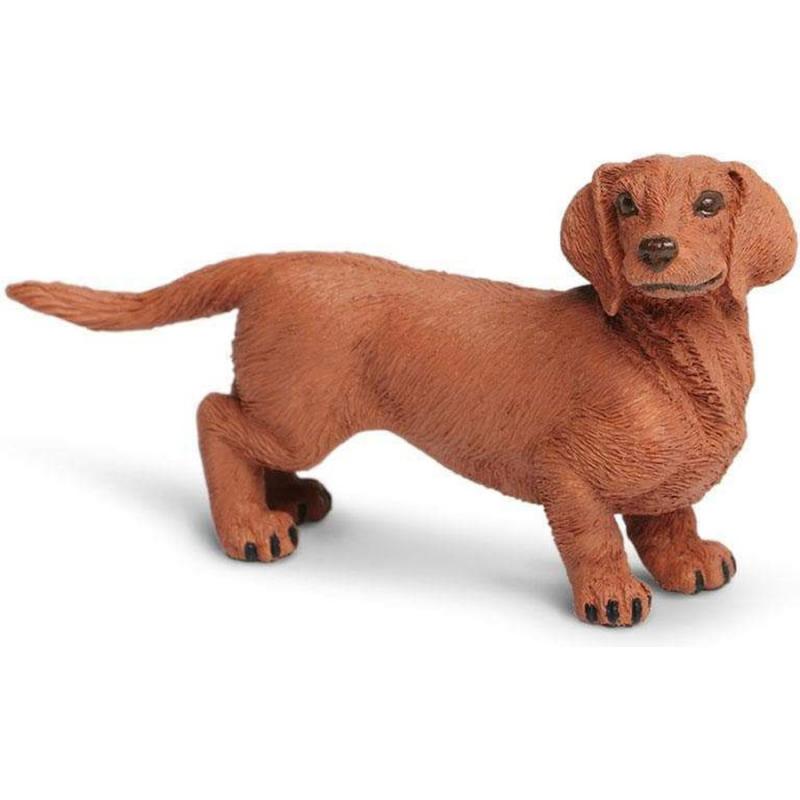 Μινιατούρες Safari - Dachshund - Σκύλος Ντάκσχουντ