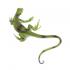 Μινιατούρες Safari - Iguana Baby - Μωρό Ιγκουάνα
