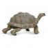 Μινιατούρες Safari - Tortoise - Χελώνα