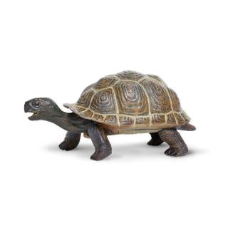 Μινιατούρες Safari - Tortoise Baby - Μωρό Χελώνα