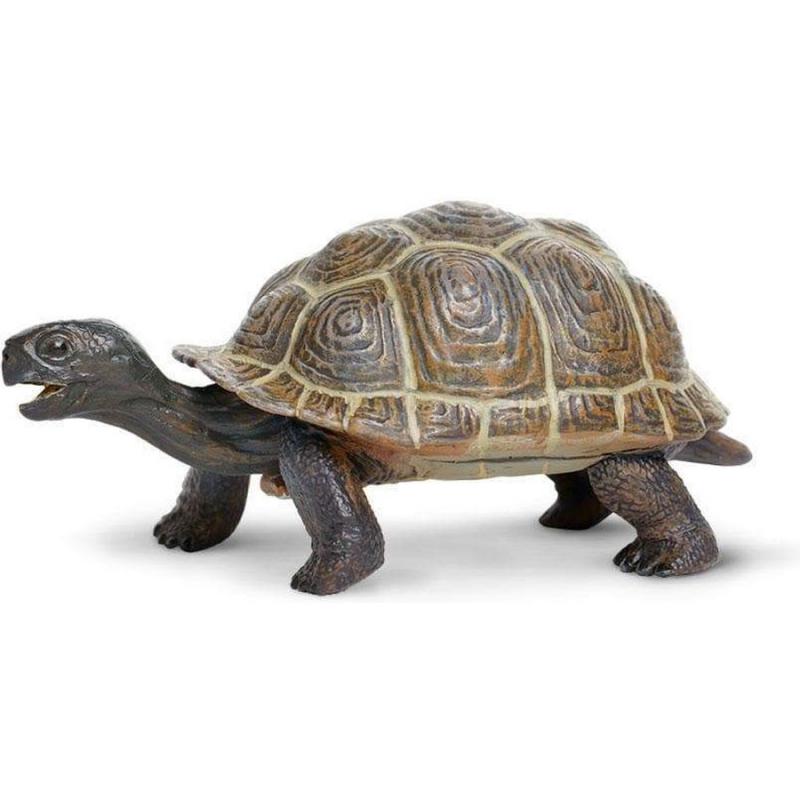 Μινιατούρες Safari - Tortoise Baby - Μωρό Χελώνα