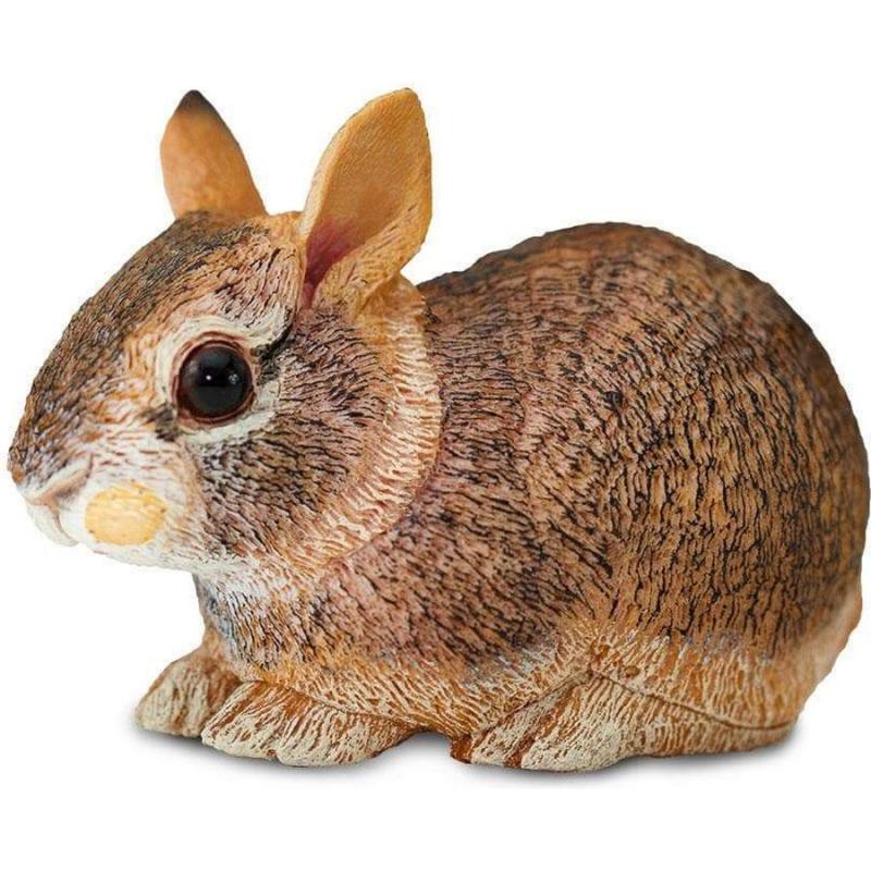 Μινιατούρες Safari - Eastern Cottontail Rabbit Baby - Μωρό Φλοριδανός Συλβιλαγός