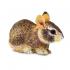Μινιατούρες Safari - Eastern Cottontail Rabbit Baby - Μωρό Φλοριδανός Συλβιλαγός