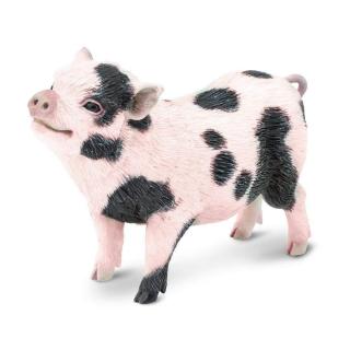 Μινιατούρες Safari - Potbellied Pig - Γουρούνι του Βιετνάμ