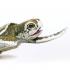 Μινιατούρες Safari - Kemp's Ridley Sea Turtle Baby - Μωρό Θαλάσσια Χελώνα Kemp's Ridley