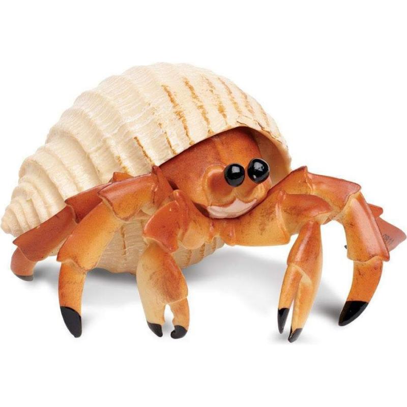 Μινιατούρες Safari - Hermit Crab - Καβούρι Ερημίτης
