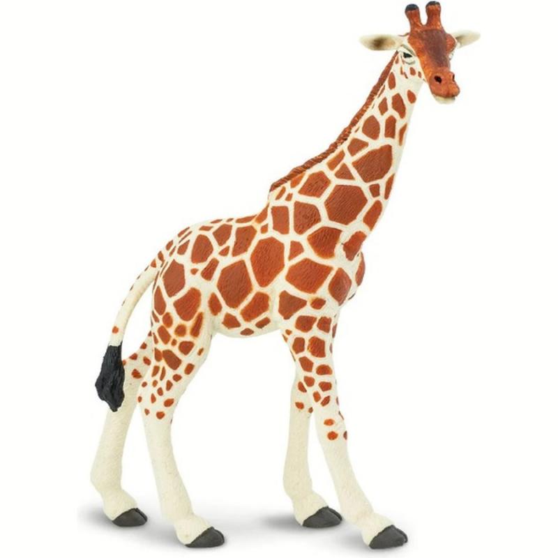 Μινιατούρες Safari - Reticulated Giraffe - Καμηλοπάρδαλη