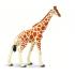 Μινιατούρες Safari - Reticulated Giraffe - Καμηλοπάρδαλη