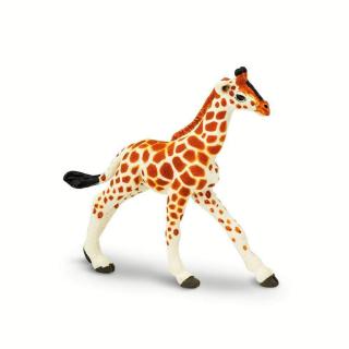 Μινιατούρες Safari - Reticulated Giraffe Baby - Καμηλοπάρδαλη Μωρό
