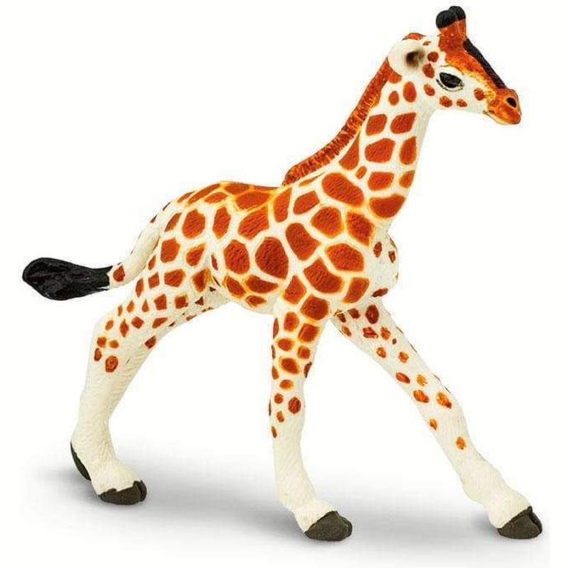 Μινιατούρες Safari - Reticulated Giraffe Baby - Καμηλοπάρδαλη Μωρό
