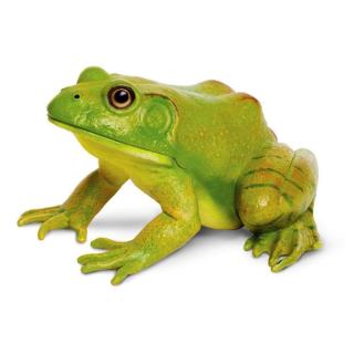 Μινιατούρες Safari - American Bullfrog - Βουβαλοβάτραχος