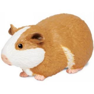 Μινιατούρες Safari - Guinea Pig - Ινδικό Χοιρίδιο