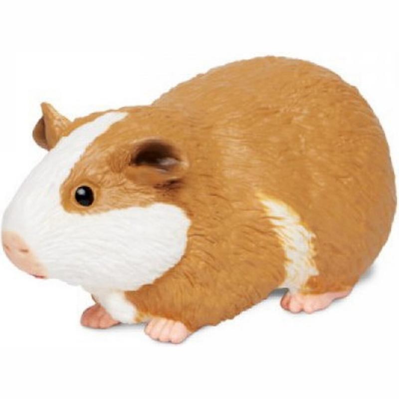 Μινιατούρες Safari - Guinea Pig - Ινδικό Χοιρίδιο