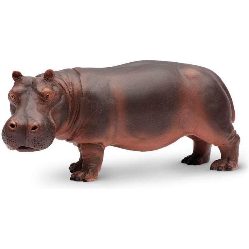 Μινιατούρες Safari - Hippopotamus - Ιπποπόταμος