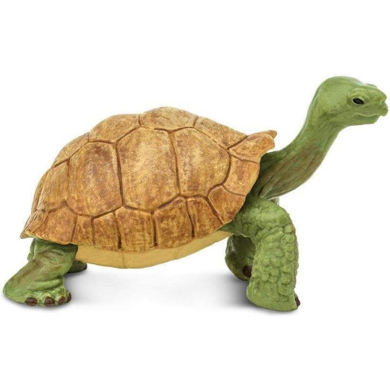Μινιατούρες Safari - Giant Tortoise - Γιγαντιαία Χελώνα