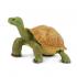 Μινιατούρες Safari - Giant Tortoise - Γιγαντιαία Χελώνα