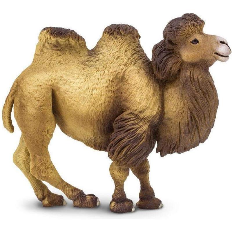 Μινιατούρες Safari - Bactrian Camel - Βακτριανή καμήλα