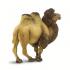 Μινιατούρες Safari - Bactrian Camel - Βακτριανή καμήλα