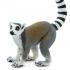 Μινιατούρες Safari - Ring-tailed Lemur - Λεμούριος με Δακτυλιδωτή Ουρά