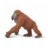 Μινιατούρες Safari - Male Orangutan - Αρσενικός Ουρακοτάγκος