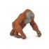 Μινιατούρες Safari - Male Orangutan - Αρσενικός Ουρακοτάγκος